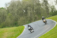 Evening Low_Mid Group Black Bikes